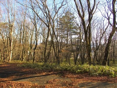 栃木県那須郡那須町 土地 75万円の官公庁公売物件 #3
