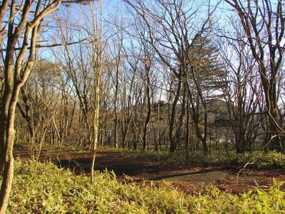 栃木県那須郡那須町 土地 75万円の官公庁公売物件 #4