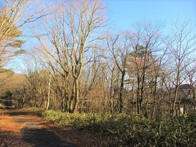 栃木県那須郡那須町 土地 75万円の官公庁公売物件 #5