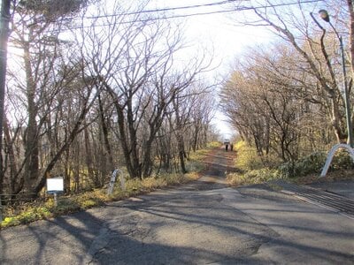 栃木県那須郡那須町 土地 75万円の官公庁公売物件 #6