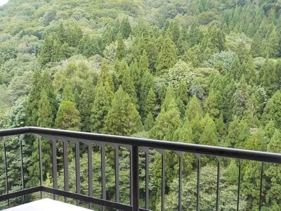 新潟県南魚沼郡湯沢町 マンション「西武ヴィラ苗場クリスタル」17万円の官公庁公売物件 #12