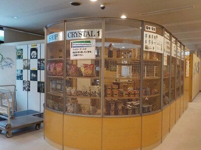 新潟県南魚沼郡湯沢町 マンション「西武ヴィラ苗場クリスタル」17万円の官公庁公売物件 #16