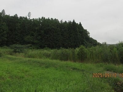 宮城県仙台市泉区 陸前落合駅 土地 166万円の官公庁公売物件 #5
