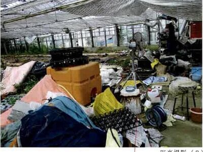 (値下げ) 愛知県田原市 農地 23万円の競売物件 #7