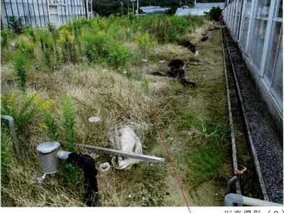 (値下げ) 愛知県田原市 農地 17万円の競売物件 #6