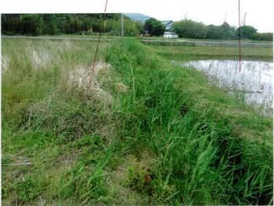 愛知県田原市 農地 43万円の競売物件 #4