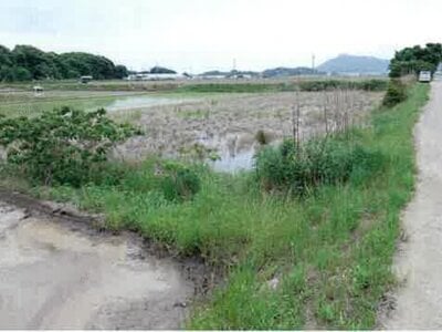 愛知県田原市 農地 44万円の競売物件 #14