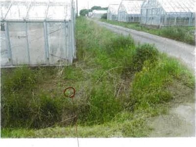 愛知県田原市 農地 87万円の競売物件 #12