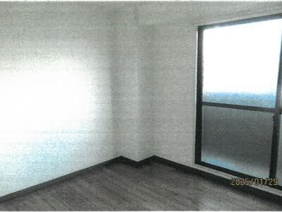 大阪府大阪市浪速区 今宮駅1分 戸建て 7,103万円の競売物件 #44