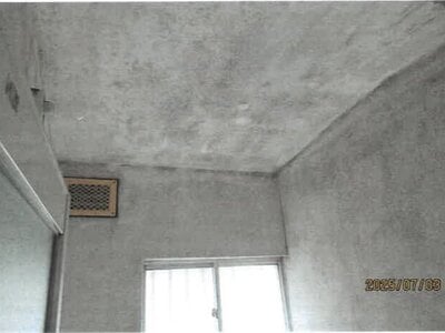 大阪府大阪市住吉区 我孫子駅4分 戸建て 874万円の競売物件 #10