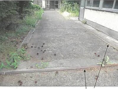 秋田県大仙市 神宮寺駅5分 土地 141万円の競売物件 #22