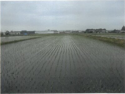 (値下げ) 岩手県北上市 藤根駅10分 農地 25万円の競売物件 #2