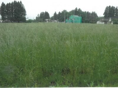 (値下げ) 岩手県北上市 村崎野駅 農地 44万円の競売物件 #3