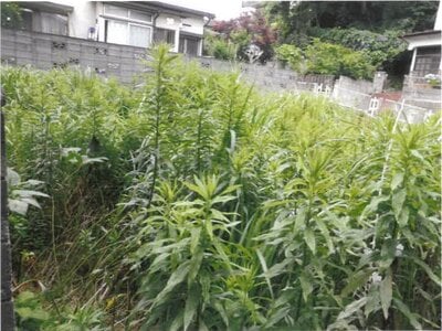 神奈川県横須賀市 浦賀駅11分 土地 765万円の競売物件 #3