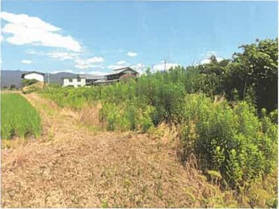 (値下げ) 滋賀県長浜市 高月駅24分 農地 85万円の競売物件 #12