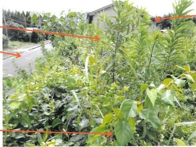 宮崎県串間市 日向大束駅29分 戸建て 243万円の競売物件 #20
