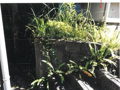 宮崎県宮崎市 南宮崎駅 戸建て 393万円の競売物件 #16