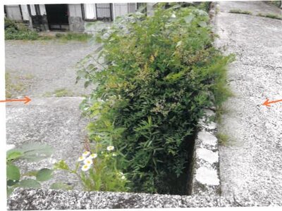 (値下げ) 宮崎県小林市 小林駅28分 戸建て 203万円の競売物件 #21