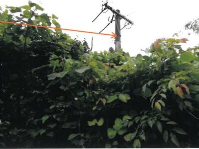 (値下げ) 宮崎県小林市 小林駅28分 戸建て 203万円の競売物件 #28