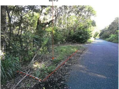 鹿児島県奄美市 農地 107万円の競売物件 #1