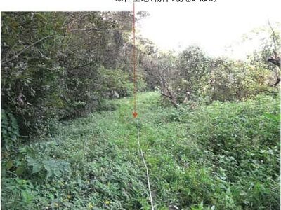 鹿児島県奄美市 農地 107万円の競売物件 #10