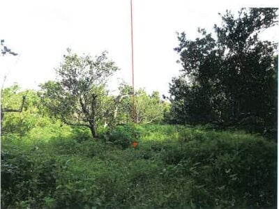 鹿児島県奄美市 農地 107万円の競売物件 #11