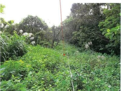 鹿児島県奄美市 農地 107万円の競売物件 #12