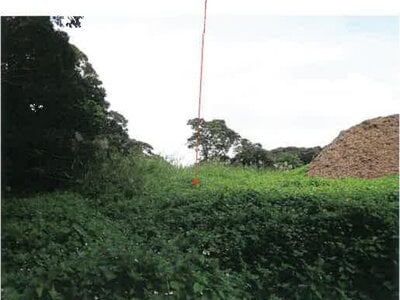 鹿児島県奄美市 農地 107万円の競売物件 #14