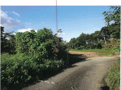 鹿児島県奄美市 農地 107万円の競売物件 #17