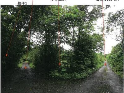 鹿児島県奄美市 農地 107万円の競売物件 #2