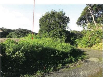 鹿児島県奄美市 農地 107万円の競売物件 #20