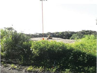 鹿児島県奄美市 農地 107万円の競売物件 #21