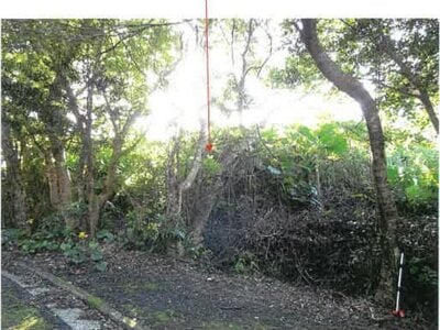鹿児島県奄美市 農地 107万円の競売物件 #24