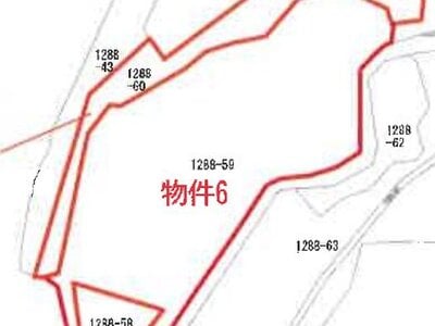 鹿児島県奄美市 農地 107万円の競売物件 #25