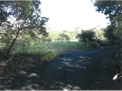 鹿児島県奄美市 農地 107万円の競売物件 #27