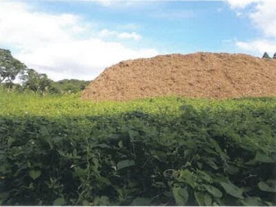 鹿児島県奄美市 農地 107万円の競売物件 #28