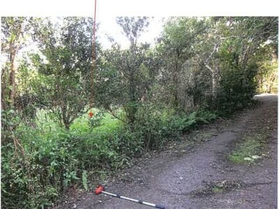 鹿児島県奄美市 農地 107万円の競売物件 #5