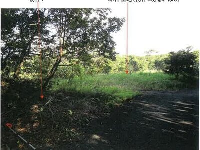 鹿児島県奄美市 農地 107万円の競売物件 #7