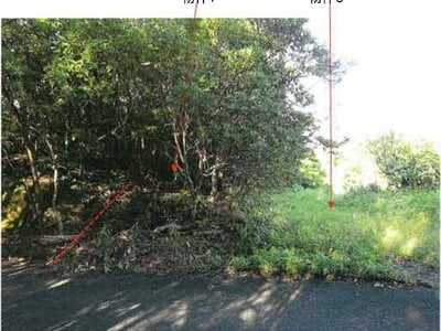鹿児島県奄美市 農地 107万円の競売物件 #8