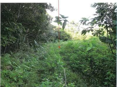 鹿児島県奄美市 農地 107万円の競売物件 #9