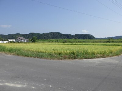 (値下げ) 高知県四万十市 具同駅30分 農地 30万円の国税庁公売物件 #1
