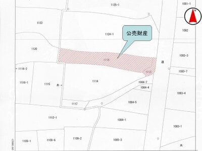 奈良県吉野郡大淀町 下市口駅18分 土地 45万円の国税庁公売物件 #2