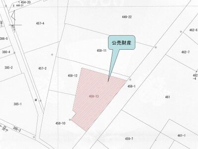和歌山県田辺市 紀伊田辺駅14分 戸建て 278万円の国税庁公売物件 #3