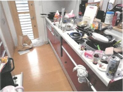 埼玉県羽生市 南羽生駅27分 戸建て 567万円の競売物件 #2