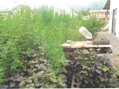 (値下げ) 埼玉県秩父郡長瀞町 野上駅3分 農地 48万円の競売物件 #3