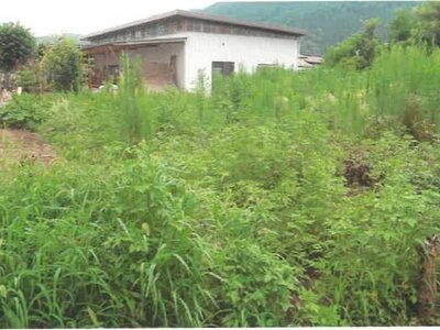 (値下げ) 埼玉県秩父郡長瀞町 野上駅3分 農地 48万円の競売物件 #5