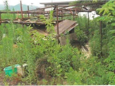 (値下げ) 埼玉県秩父郡長瀞町 野上駅3分 農地 48万円の競売物件 #7