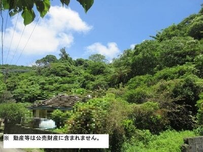 沖縄県名護市 土地 124万円の国税庁公売物件 #1