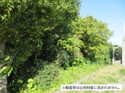 沖縄県南城市 土地 187万円の国税庁公売物件 #1