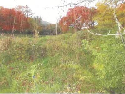(値下げ) 福島県安達郡大玉村 杉田駅 土地 23万円の競売物件 #4